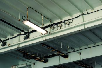 pexels jasper hunter 692558448 18569736